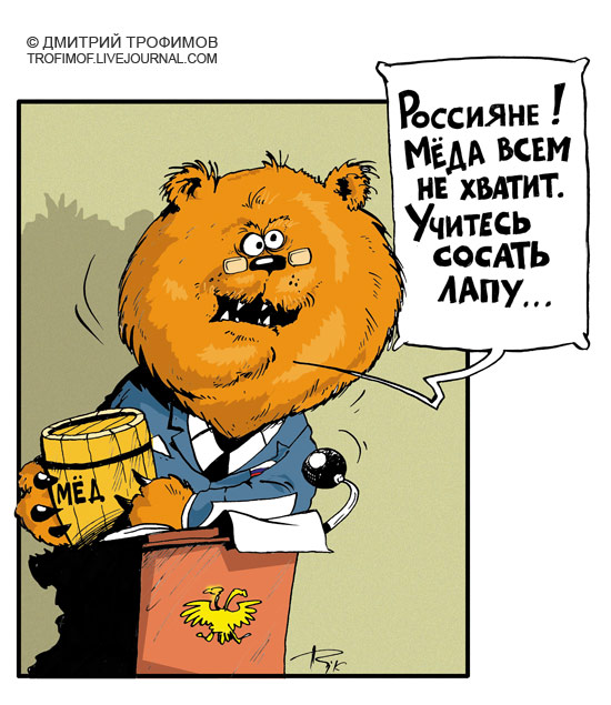medved-20081113.jpg